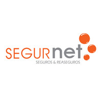 Segurnet SRL logo, Segurnet SRL contact details