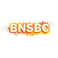 BNSBC Media Ventures LLC logo, BNSBC Media Ventures LLC contact details