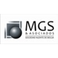 MGS & ASOCIADOS S.A.B. logo, MGS & ASOCIADOS S.A.B. contact details