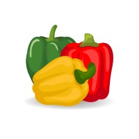 Bell Pepper Marketing logo, Bell Pepper Marketing contact details