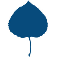 The Aspen Institute Kyiv logo, The Aspen Institute Kyiv contact details