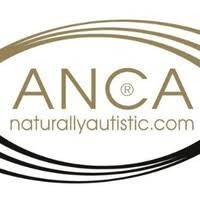 ANCA Consulting Inc. logo, ANCA Consulting Inc. contact details