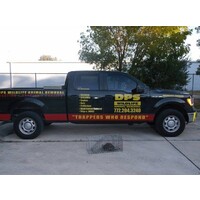 DPS Wildlife Animal Removal logo, DPS Wildlife Animal Removal contact details