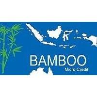 Bamboo Micro Credit logo, Bamboo Micro Credit contact details