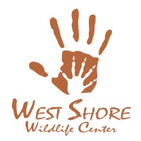 West Shore Wildlife Center logo, West Shore Wildlife Center contact details