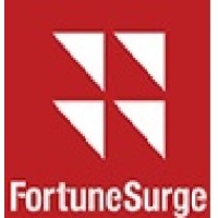 FortuneSurge Consulting LLP logo, FortuneSurge Consulting LLP contact details