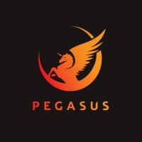 Pegasus All Trade Services LLC logo, Pegasus All Trade Services LLC contact details