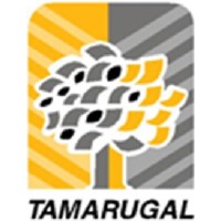 transportes tamarugal limitada logo, transportes tamarugal limitada contact details