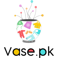 vase.pk logo, vase.pk contact details