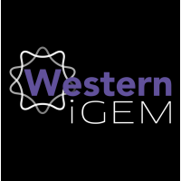 Western iGEM logo, Western iGEM contact details