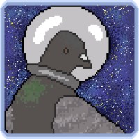 Pigeonaut LLC logo, Pigeonaut LLC contact details