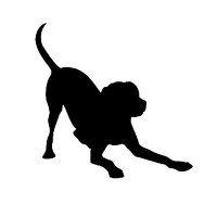 Blackdog Design logo, Blackdog Design contact details