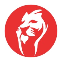 Lion Consulting - Empresa Júnior logo, Lion Consulting - Empresa Júnior contact details