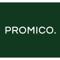 Promico Strategy Consulting Team logo, Promico Strategy Consulting Team contact details