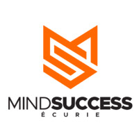 MindSuccess logo, MindSuccess contact details