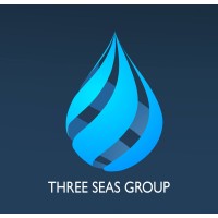 Three Seas Infologics Pvt Ltd logo, Three Seas Infologics Pvt Ltd contact details