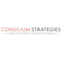 Consilium Strategies Ltd logo, Consilium Strategies Ltd contact details