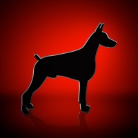 ToughDog Security Systems logo, ToughDog Security Systems contact details