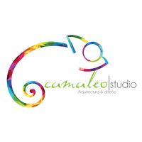 Camaleo Studio MX logo, Camaleo Studio MX contact details