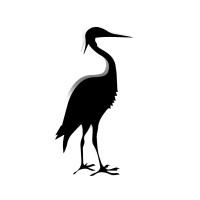 The Crane Consulting Firm logo, The Crane Consulting Firm contact details