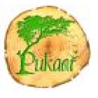 Pukaar Foundation logo, Pukaar Foundation contact details