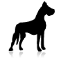 Big Dog Transportation logo, Big Dog Transportation contact details