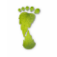 Green Life Pages logo, Green Life Pages contact details