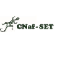 CNAF-SET JV logo, CNAF-SET JV contact details