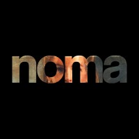 noma creative logo, noma creative contact details