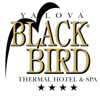 Black Bird Thermal Hotel & SPA logo, Black Bird Thermal Hotel & SPA contact details