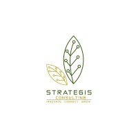 Strategis Consulting logo, Strategis Consulting contact details