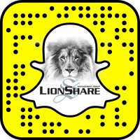 Lions Share Management Group logo, Lions Share Management Group contact details