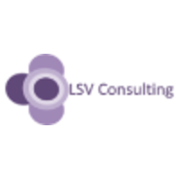 LSV Consulting LLC logo, LSV Consulting LLC contact details