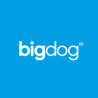 bigdog Agency logo, bigdog Agency contact details