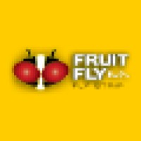 Fruit Fly Bar Pro logo, Fruit Fly Bar Pro contact details