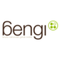 bengi logo, bengi contact details