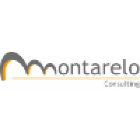 Montarelo Consulting logo, Montarelo Consulting contact details