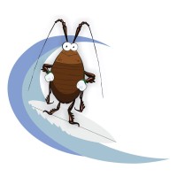 Coolum Pest Control logo, Coolum Pest Control contact details