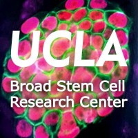 UCLA Broad Stem Cell Research Center logo, UCLA Broad Stem Cell Research Center contact details