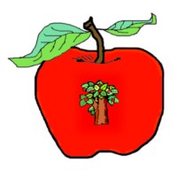 Apple Tree Nursery logo, Apple Tree Nursery contact details