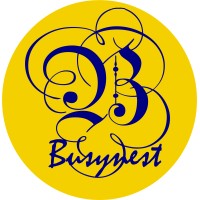 Busynest Tech World logo, Busynest Tech World contact details