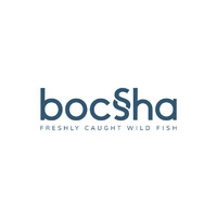 Bocsha Egypt logo, Bocsha Egypt contact details