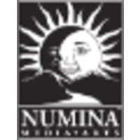 Numina Media Arts LLC logo, Numina Media Arts LLC contact details