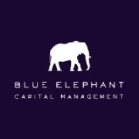 Blue Elephant Capital Management logo, Blue Elephant Capital Management contact details