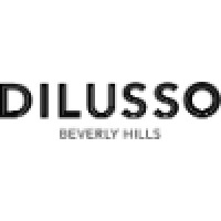 DILUSSO logo, DILUSSO contact details