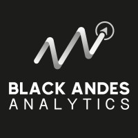 Black Andes Analytics logo, Black Andes Analytics contact details