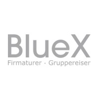 BlueX logo, BlueX contact details