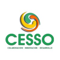 Cesso Chile logo, Cesso Chile contact details