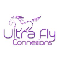 Ultra Fly Connexions -IT Company logo, Ultra Fly Connexions -IT Company contact details