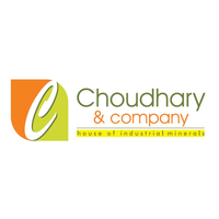 Choudhary & Company, Udaipur (India) logo, Choudhary & Company, Udaipur (India) contact details